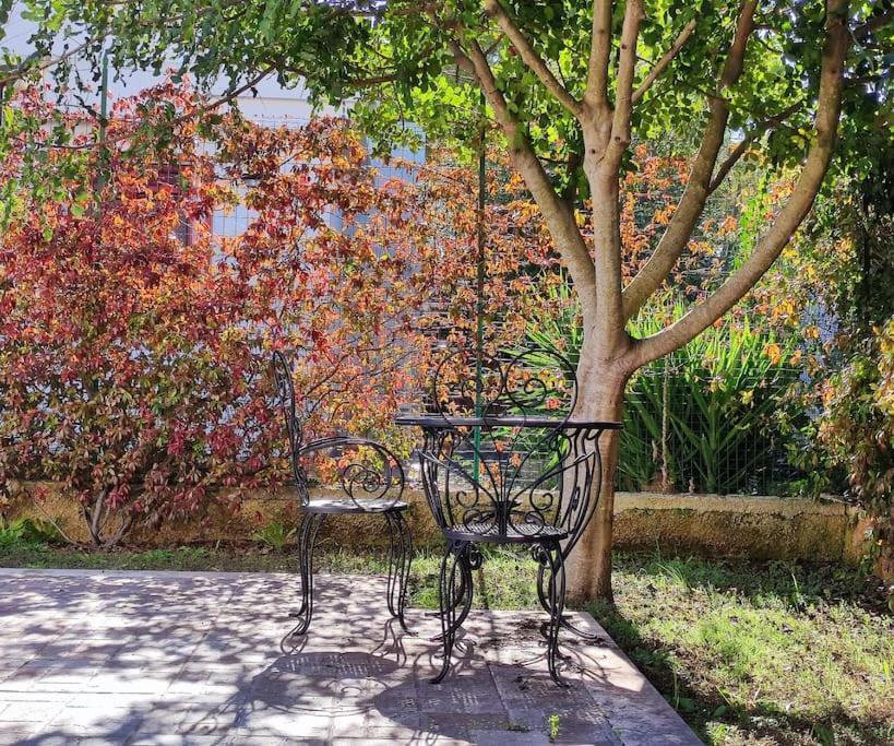 Terra Dei Plautii Villa Pulsano Kültér fotó